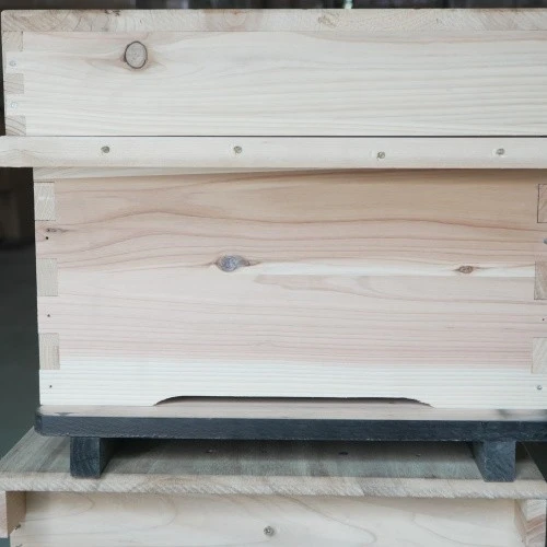 10 Frame Beehive suppliers