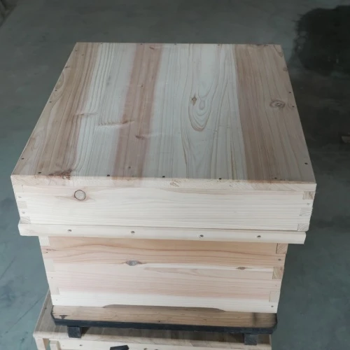 10 Frame Beehive
