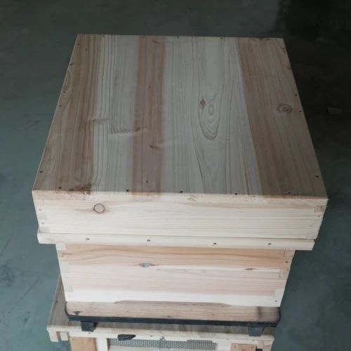 Assembled Bee Hive