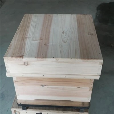 10 Frame Beehive