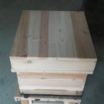 Assembled Bee Hive