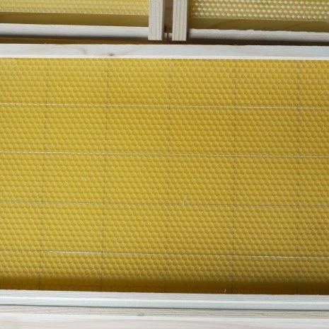 Wooden Honeycomb Foundation suppliers